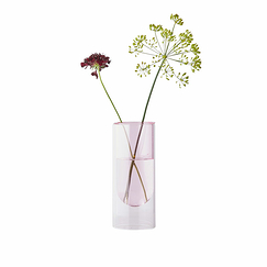 Vase en forme de tube Rose 16 cm