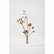 Vase en forme de tube Rose 16 cm