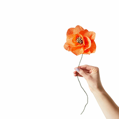 Paper flower Poppy