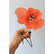 Fleur en papier Coquelicot