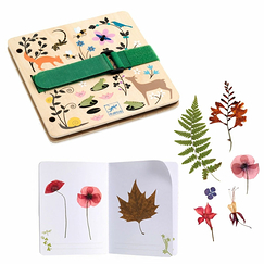 Creative activities Flower box - Djeco