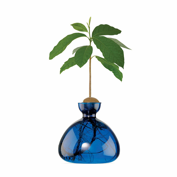 Avocado vase - Lapis blue