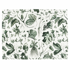 Set of 2 Place mats The King's Herbarium Green - 38x50 cm