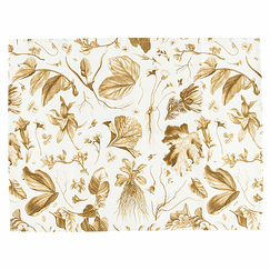 Set of 2 Place mats The King's Herbarium Bronze - 38x50 cm