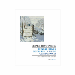 Painting in winter. Notes on Claude Monet's Magpie
