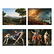 Étui de 10 cartes postales Naples à Paris. Le Louvre invite le musée de Capodimonte