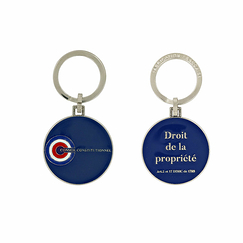 Keyring Rights of the property - Constitutional Council