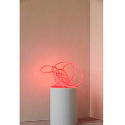 Lampe flexible Rouge chaud - 5 mètres