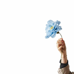Fleur en papier Pivoine - Bleue