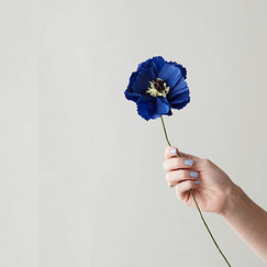 Fleur en papier Pivoine - Bleue