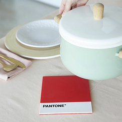 Silicone Trivet Pantone Red - Balvi