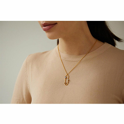 Golden Necklace Medes