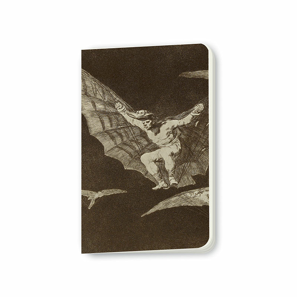 Carnet Francisco de Goya y Lucientes - Une façon de voler, 1816-1823