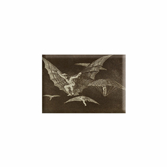 Magnet Francisco de Goya y Lucientes - Way of flying, 1816-1823