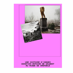 Une histoire d'images - Donation Antoine de Galbert au musée de Grenoble - Catalogue d'exposition