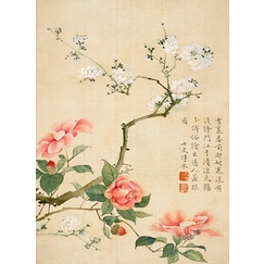 Album illustré de dix feuillets : Fleurs et insectes, dynastie Qing