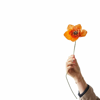 Paper flower Poppy - Orange