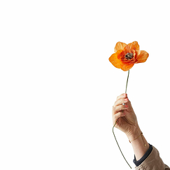 Fleur en papier Coquelicot - Orange