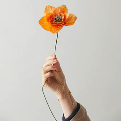 Fleur en papier Coquelicot - Orange