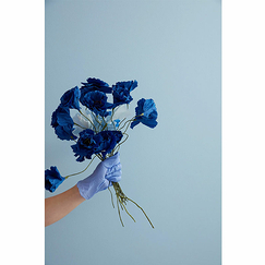 Paper flower Ice Poppy - Blue