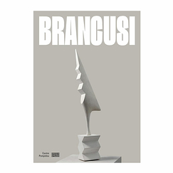 Brancusi - Exhibition catalog