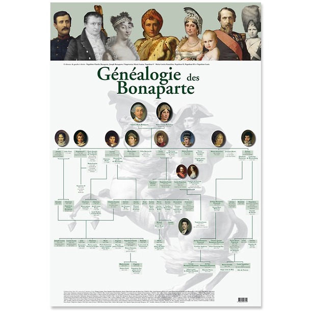 Poster Family Tree of the Bonaparte
