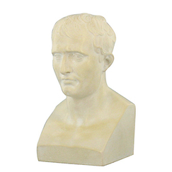 Bust of Napoleon Ist
