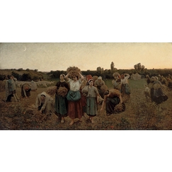 Calling in the Gleaners