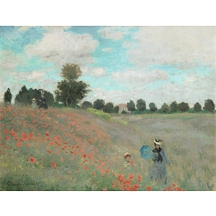 Poppy Field