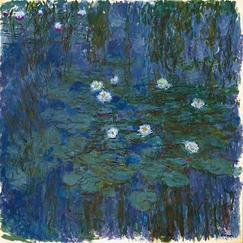 Blue water lilies