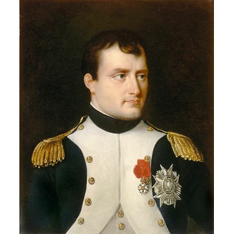 Napoleon I in the uniform of colonel of the grenadiers of the foot guard