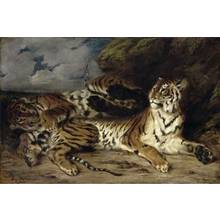 Jeune tigre jouant avec sa mère
