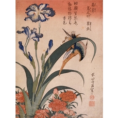Kingfisher, carnation and iris