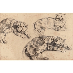 Trois études de chats allongés, la tête vers la droite