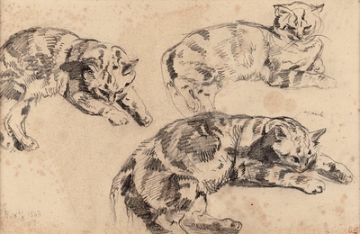 Three Studies of Cats