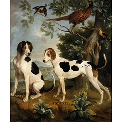 Pompee and Florissant, dogs of Louis XIV