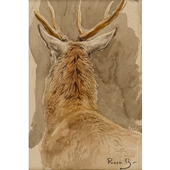 Deer study