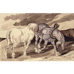 Two detached wagon horses
