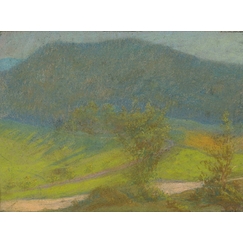 Mountain landscape with trees in the foreground