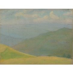 Paysage de montagne avec prairie jaune au premier plan