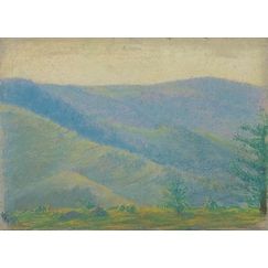 Mountain landscape with fir trees in the foreground
