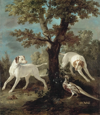 Perle and Ponne, dogs from the pack of Louis XV oudry