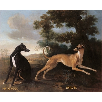 Mignonne and Sylvie, dogs from the pack of Louis XV oudry
