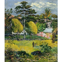 Landscape