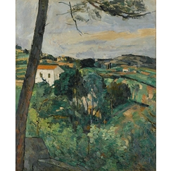 Pine tree at L'Estaque or Landscape with red roof
