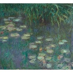 The Water Lilies: Morning