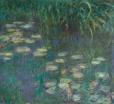 The Water Lilies: Morning