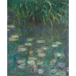 The Water Lilies: Morning