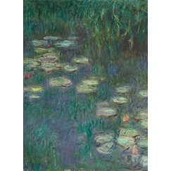 The Water Lilies: Morning