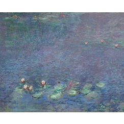 The Water Lilies: Morning